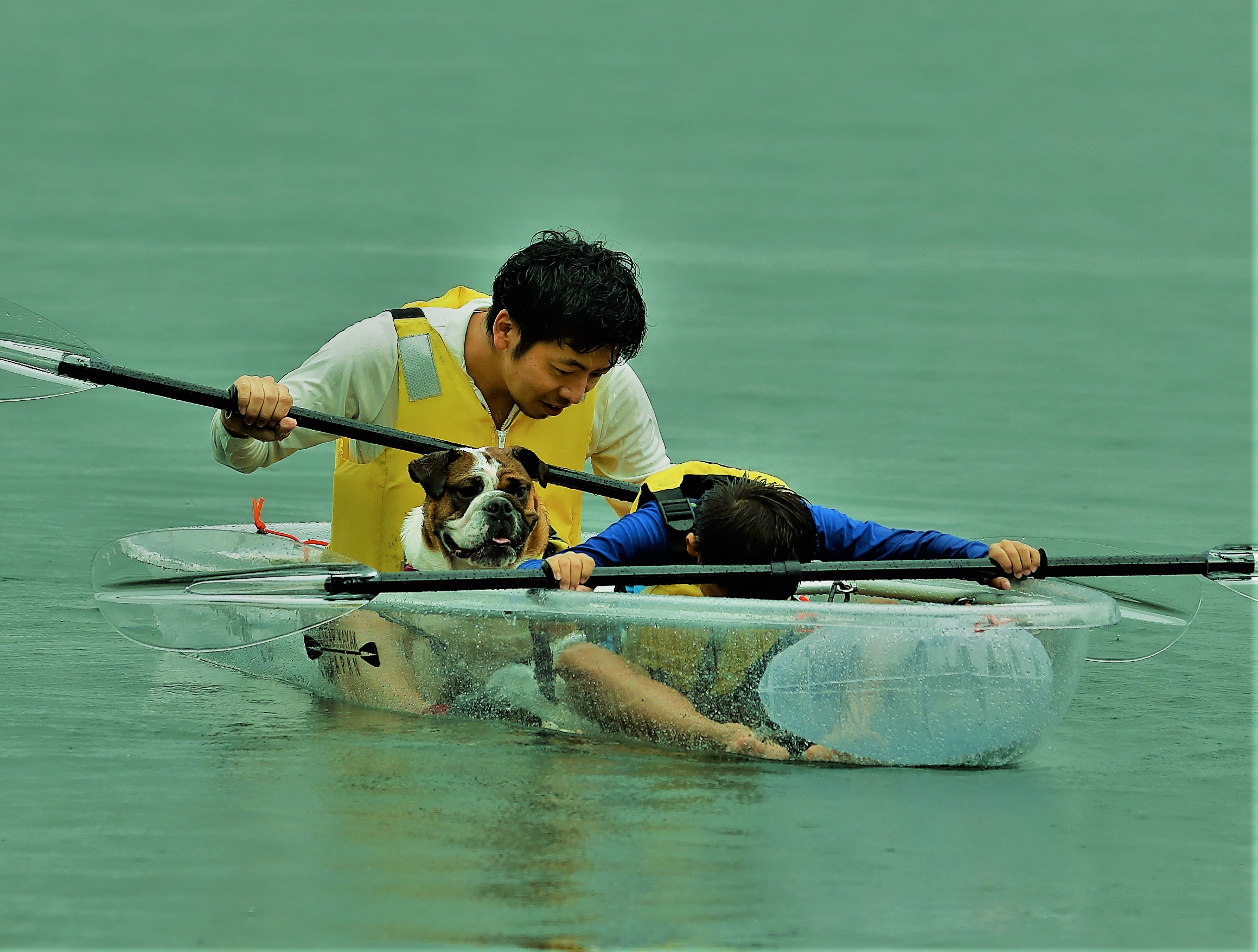 大好評のスケルトン カヤック たっぷり2時間かけて小網代湾周遊ツアーになって帰ってきました 横浜ヴィアッジオ